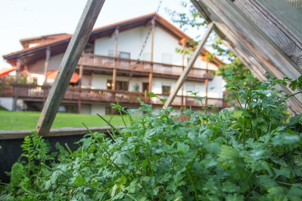 Auszeit-wohnungen Appartement Aidenbach